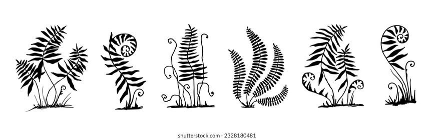 Set of forest fern leaves silhouettes. Vector graphics.