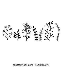 Set of forest and field plants. Vector Hand drawn silhouette illustration isolated on white background. Elements for the design of a poster, postcard, t-shirt, Cup, and more.