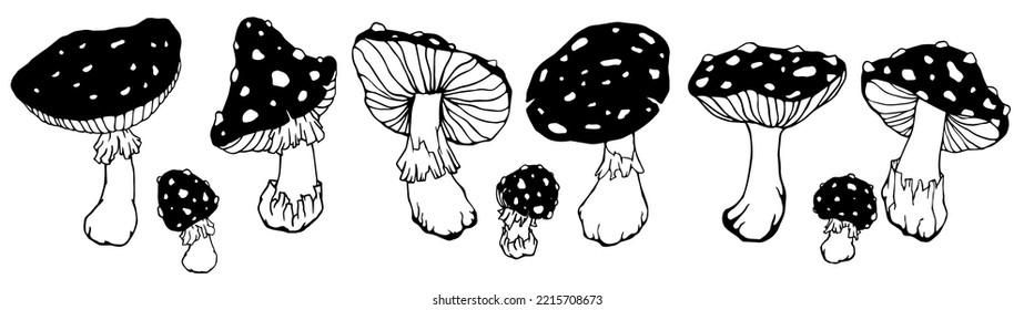 A set of forest fly agaric sketches.Vector graphics.