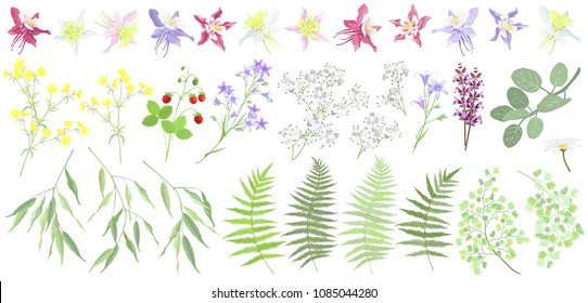 かすみ草 の画像 写真素材 ベクター画像 Shutterstock