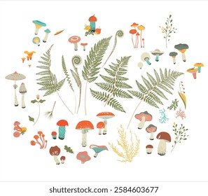 Set of forest illustrations. Mushrooms, ferns, berries. Vector in cartoon style