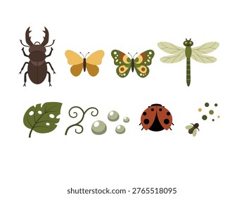 Set of forest insects including beetle, butterflies, dragonfly and ladybug with leaves and natural elements in flat style