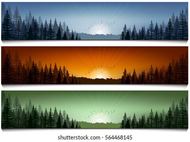 Set of forest landscape scenes banners .Vector illustration