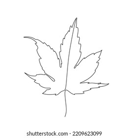 Conjunto de hojas del bosque de un árbol. Plantas para el diseño de postales. Ilustración de color en un fondo blanco. Hoja de otoño.
