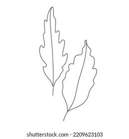 Set of forest leaves from a tree. Plants for the design of postcards. Color illustration on a white background. Autumn leaf.