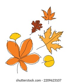 Set of forest leaves from a tree. Plants for the design of postcards. Color illustration on a white background. Autumn leaf.