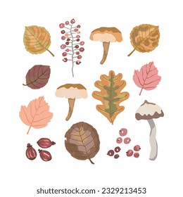 Set of forest life objects: mushrooms, leaves and berries. Watercolor effect hand drawn vector illustration. Autumn, fall.