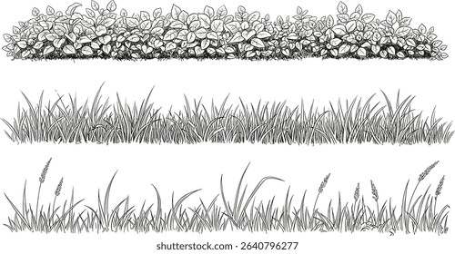 set of forest line cad, minimal isolated on white background. Ground cover. Illustration for elevation architectural element, side view, grass section. Turf coating banners for edging.
