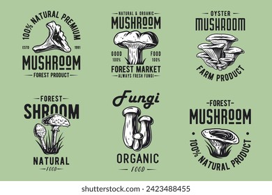 Set of forest mushroom for organic, natural vegetarian food. Collection of autumn fungi, shroom mushroom picking for t-shirt print.