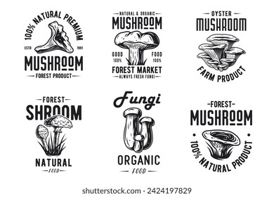 Set of forest mushroom for organic, natural vegetarian food. Collection of autumn fungi, shroom mushroom picking for t-shirt print.