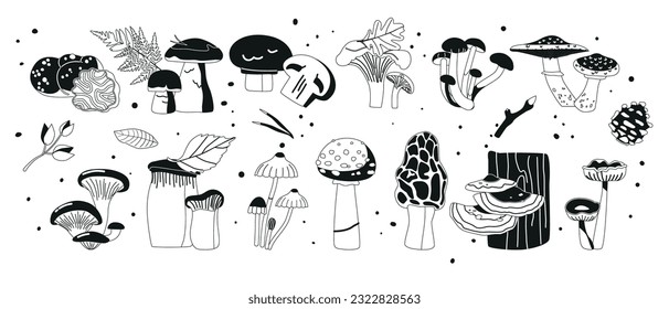 Set von Wald Pilze schwarze Symbole. Toadstool, Wolle Milkcap, Chanterelle, Morel, Amanita, Porcini, Oyster, Shiitake