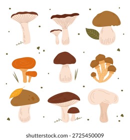 Set of forest mushrooms. Collection of cute autumn mushrooms of different shapes. Hand drawn vector illustration of forest mushrooms on white background.