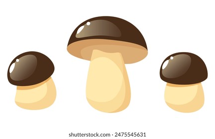 A set of forest mushrooms of different sizes and shapes on a white background. Autumn harvest of boletus and porcini mushrooms. Vector cartoon mushrooms.