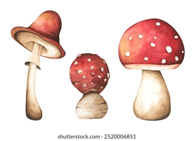 Conjunto de elementos de cogumelos de floresta ilustração aquarela coleção de estilo para design de outono.