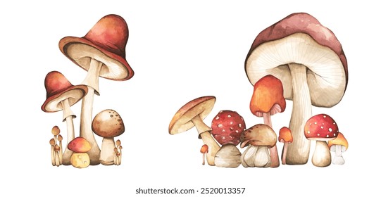 Conjunto de elementos de cogumelos de floresta ilustração aquarela coleção de estilo para design de outono.