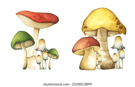 Conjunto de elementos de cogumelos de floresta ilustração aquarela coleção de estilo para design de outono.