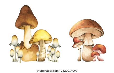 Conjunto de elementos de cogumelos de floresta ilustração aquarela coleção de estilo para design de outono.