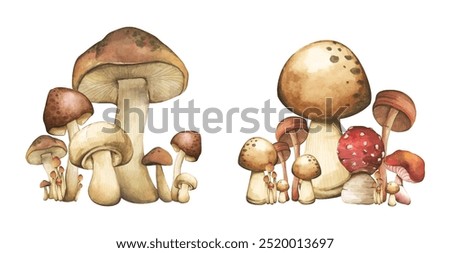 Set of Forest mushrooms elements illustration watercolor style collection for Autumn design.