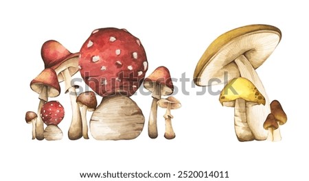 Set of Forest mushrooms elements illustration watercolor style collection for Autumn design.