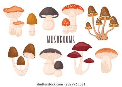 Set of forest mushrooms isolated. Collection of Autumn raw edible and toxic fungus. Porcini, chanterelle, fly agaric, toadstool. Fall seasonal harvest. Vector cartoon illustration