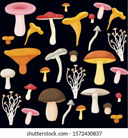 Set of forest mushrooms on a black background. Cartoon style.