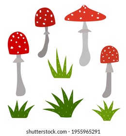 Set of forest mushrooms. Red fly agaric with white spots and grass. Colored pictures, a set of mushrooms. Vector, clipart.