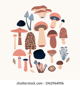 Set of a forest mushrooms, toadstool,  black truffle, chanterelles, isolated,  white background. Symbol, icon, vector illustration, elements, style of minimalist, hand drawn. Postcard, concept