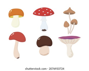 Set with forest mushrooms. Vector illustration in flat style.