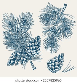 Set of forest pine branches and cones. Hand drawn vector illustration. Blue shade collection.