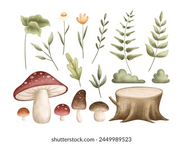 Conjunto de plantas forestales, hojas, flores e ilustración de hongos