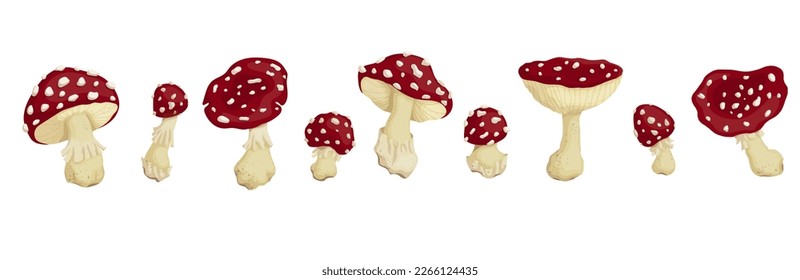 Set of forest red fly agaric. Cartoon vector graphics.