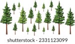 Set of forest trees and bushes, green tall spruce tree, European spruce evergreen coniferous tree, green tall pine tree, white spruce evergreen coniferous tree, green bushes
