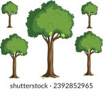 Set of forest trees and bushes, green tall spruce tree, European spruce evergreen coniferous tree, green tall pine tree, white spruce evergreen coniferous tree, green bushes