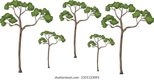 Set of forest trees and bushes, green tall spruce tree, European spruce evergreen coniferous tree, green tall pine tree, white spruce evergreen coniferous tree, green bushes