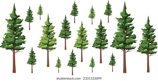 Set of forest trees and bushes, green tall spruce tree, European spruce evergreen coniferous tree, green tall pine tree, white spruce evergreen coniferous tree, green bushes