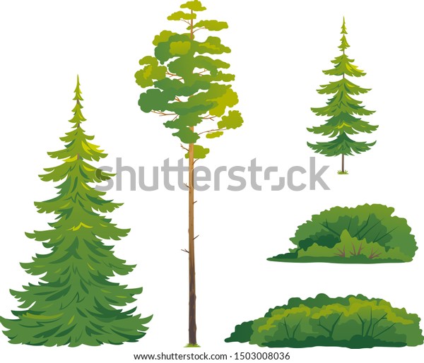 森の木と茂み 緑の高いトウヒの木 ヨーロッパのトウヒの常緑針葉樹 緑の高い松の木 白いトウヒの常緑針葉樹 緑の茂みのセット のベクター画像素材 ロイヤリティフリー