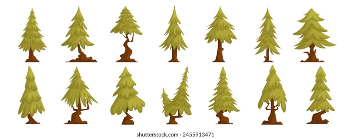 Set of forest trees pine, green tall spruce, European spruce, evergreen conifer. Interesting shaped pine tree