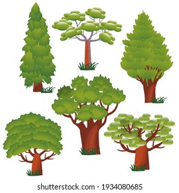  Set of forest trees of varios shahes.Coniferous and deciduous trees with picturesque crowns and trunks.Botanical design isolated on white background.Vector illustration.
