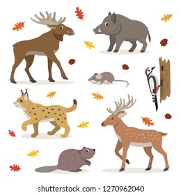 Set of forest wild animals isolated on white background, moose, deer, lynx, boar, beaver, colorful woodpecker, small mouse and fallen leaves, vector illustration