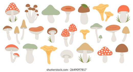Conjunto de cogumelos silvestres da floresta. Elementos de fungos de outono. Ilustração de vetor desenhada à mão plana
