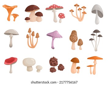 Conjunto de setas silvestres del bosque. Pegatinas con álamos, paladín, chanterelle, amanita y toadstool pálido. Hongos comestibles y venenosos. Colección vectorial realista de dibujos animados aislada en fondo blanco