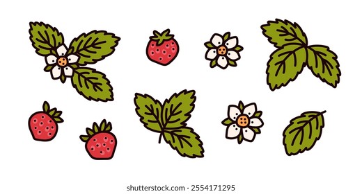 Set of forest wild strawberry. Botanical clipart sweet red berries, green leaves and cute flowers. Summer floral vector collection