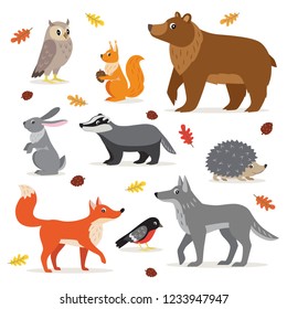 Set of forest, woodland animals isolated on white background, owl, squirrel, hare, bear, fox, wolf, badger, hedgehog bullfinch and fallen leaves vector illustration