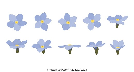 Set of Forget Me Not blooming flowers illustration.