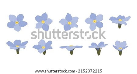 Set of Forget Me Not blooming flowers illustration.