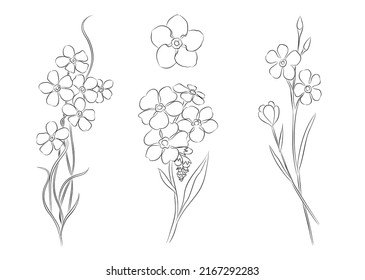 Set of forget me not flower colorful Royalty Free Vector