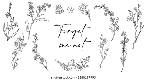 Set of Forget me not flower line art vector.