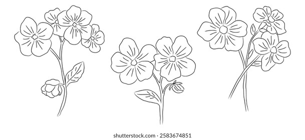 Set of Forget me not flower line art vector illustrations. Myosotis monochrome hand drawn black ink sketch isolated on white background.