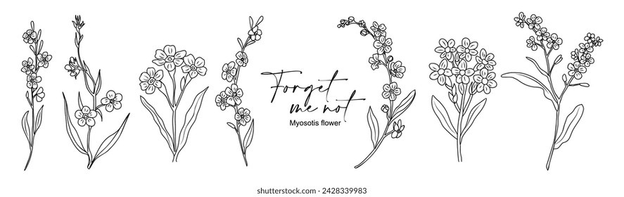 Set of Forget me Not flowers. Myosotis Trendy botanical line art elements for wedding cards, invitations. Hand drawn wild tender flower sketch. Vector outline drawings isolated. Not generated AI
