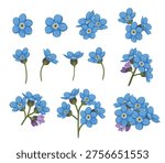 Set of forget-me-not flowers on a white background. Wild flowers. Vector illustration.
